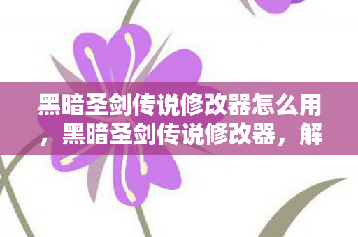 黑暗圣剑传说修改器怎么用，黑暗圣剑传说修改器，解锁无限可能的冒险之旅
