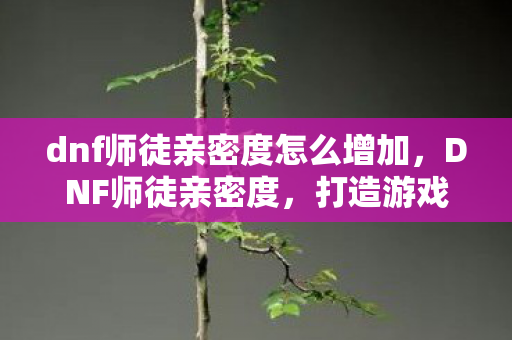 dnf师徒亲密度怎么增加，DNF师徒亲密度，打造游戏中的温馨纽带