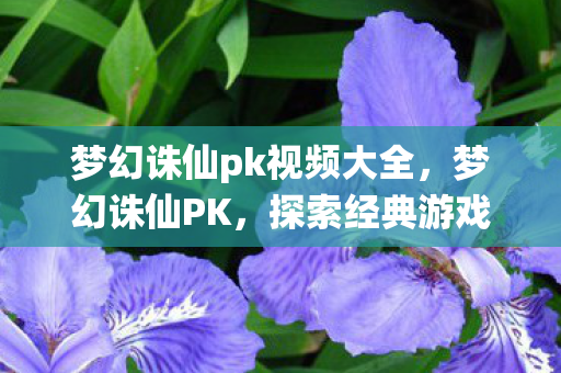 梦幻诛仙pk视频大全,梦幻诛仙PK,探索经典游戏的多样玩法与策略 梦幻诛仙pk视频大全,梦幻诛仙PK,探索经典游戏的多样玩法与策略