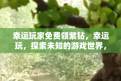 幸运玩家免费领紫钻,幸运玩,探索未知的游戏世界,尽享无限乐趣 幸运玩家免费领紫钻,幸运玩,探索未知的游戏世界,尽享无限乐趣