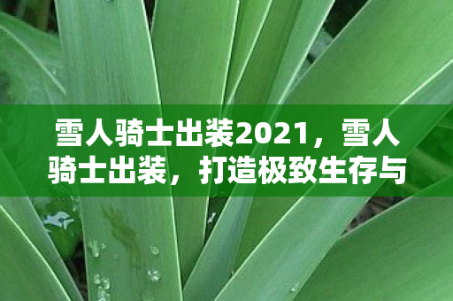 雪人骑士出装2021,雪人骑士出装,打造极致生存与输出的完美装备组合 雪人骑士出装2021,雪人骑士出装,打造极致生存与输出的完美装备组合