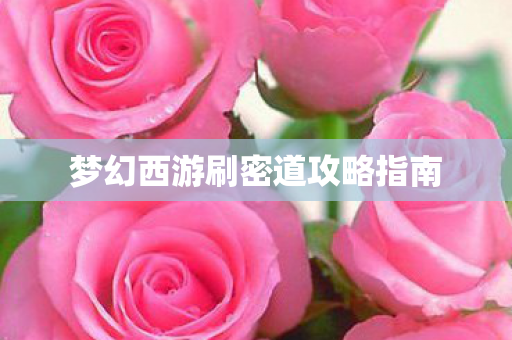 梦幻西游刷密道攻略指南 梦幻西游刷密道攻略指南