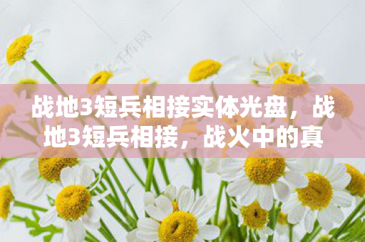 战地3短兵相接实体光盘,战地3短兵相接,战火中的真实与虚拟交织 战地3短兵相接实体光盘,战地3短兵相接,战火中的真实与虚拟交织