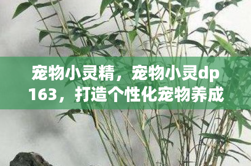 宠物小灵精,宠物小灵dp163,打造个性化宠物养成体验 宠物小灵精,宠物小灵dp163,打造个性化宠物养成体验