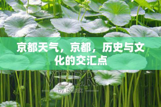 京都天气,京都,历史与文化的交汇点 京都天气,京都,历史与文化的交汇点