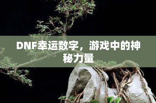 DNF幸运数字,游戏中的神秘力量 DNF幸运数字,游戏中的神秘力量