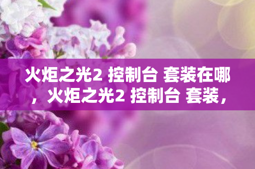 火炬之光2 控制台 套装在哪，火炬之光2 控制台 套装，打造你的专属战斗装备