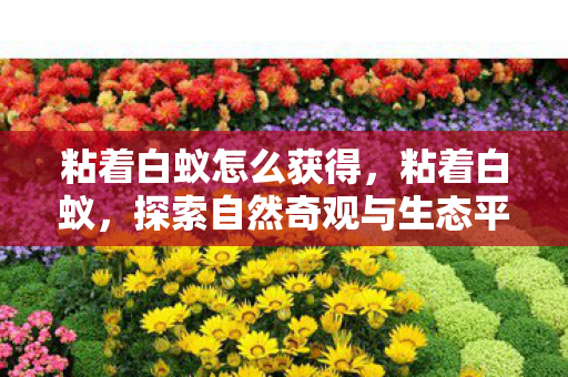 粘着白蚁怎么获得,粘着白蚁,探索自然奇观与生态平衡的奥秘 粘着白蚁怎么获得,粘着白蚁,探索自然奇观与生态平衡的奥秘