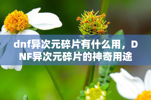 dnf异次元碎片有什么用，DNF异次元碎片的神奇用途
