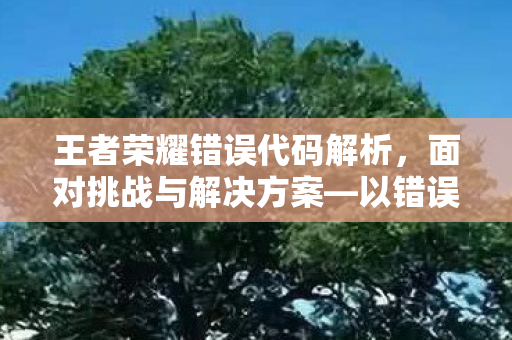 王者荣耀错误代码解析,面对挑战与解决方案—以错误代码15414067 王者荣耀错误代码解析,面对挑战与解决方案—以错误代码15414067