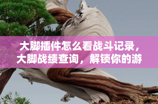 大脚插件怎么看战斗记录,大脚战绩查询,解锁你的游戏成就新视角 大脚插件怎么看战斗记录,大脚战绩查询,解锁你的游戏成就新视角