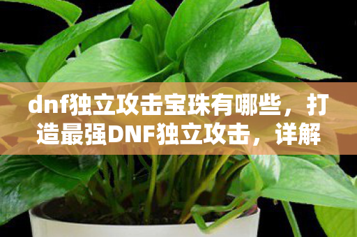 dnf独立攻击宝珠有哪些,打造最强DNF独立攻击,详解顶级宝珠的选择与搭配 dnf独立攻击宝珠有哪些,打造最强DNF独立攻击,详解顶级宝珠的选择与搭配