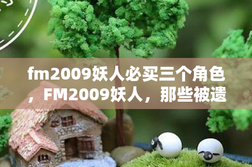 fm2009妖人必买三个角色,FM2009妖人,那些被遗忘的足球天才 fm2009妖人必买三个角色,FM2009妖人,那些被遗忘的足球天才