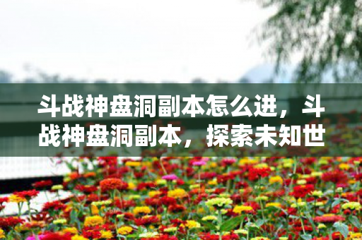 斗战神盘洞副本怎么进，斗战神盘洞副本，探索未知世界的奇幻之旅