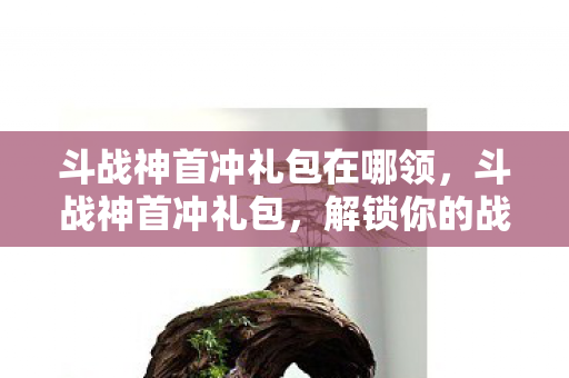 斗战神首冲礼包在哪领,斗战神首冲礼包,解锁你的战斗之旅 斗战神首冲礼包在哪领,斗战神首冲礼包,解锁你的战斗之旅