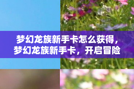 梦幻龙族新手卡怎么获得,梦幻龙族新手卡,开启冒险之旅的钥匙 梦幻龙族新手卡怎么获得,梦幻龙族新手卡,开启冒险之旅的钥匙