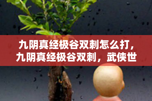 九阴真经极谷双刺怎么打,九阴真经极谷双刺,武侠世界的双绝技艺 九阴真经极谷双刺怎么打,九阴真经极谷双刺,武侠世界的双绝技艺