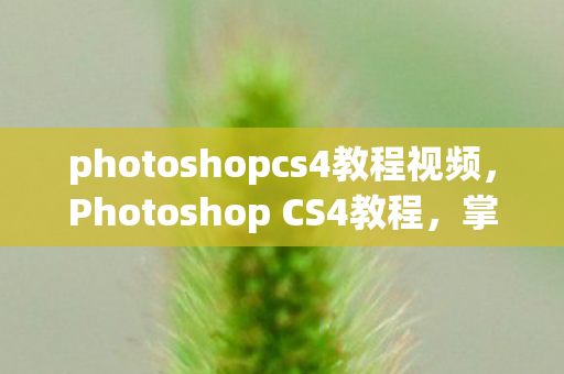 photoshopcs4教程视频,Photoshop CS4教程,掌握设计新技能 photoshopcs4教程视频,Photoshop CS4教程,掌握设计新技能