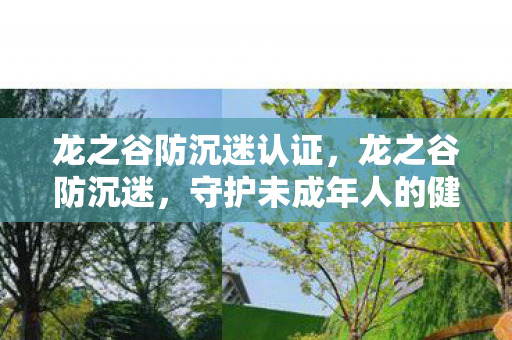 龙之谷防沉迷认证,龙之谷防沉迷,守护未成年人的健康游戏环境 龙之谷防沉迷认证,龙之谷防沉迷,守护未成年人的健康游戏环境