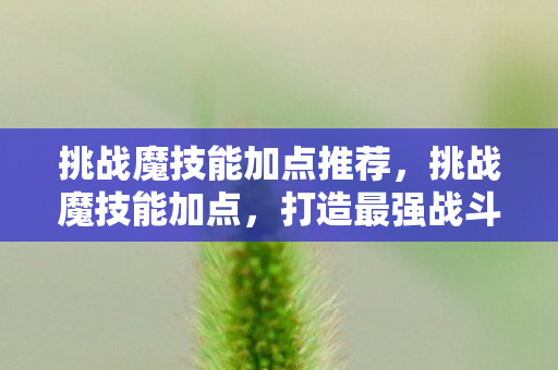 挑战魔技能加点推荐,挑战魔技能加点,打造最强战斗力的策略指南 挑战魔技能加点推荐,挑战魔技能加点,打造最强战斗力的策略指南