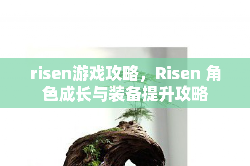 risen游戏攻略,Risen 角色成长与装备提升攻略 risen游戏攻略,Risen 角色成长与装备提升攻略