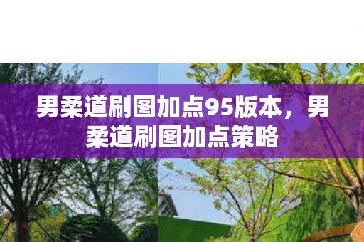 男柔道刷图加点95版本，男柔道刷图加点策略