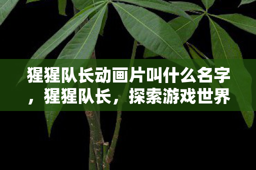 猩猩队长动画片叫什么名字，猩猩队长，探索游戏世界的奇妙之旅