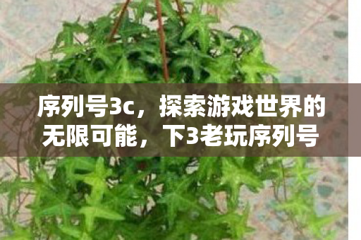 序列号3c,探索游戏世界的无限可能,下3老玩序列号与游戏乐趣的碰撞 序列号3c,探索游戏世界的无限可能,下3老玩序列号与游戏乐趣的碰撞