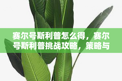 赛尔号斯利普怎么得,赛尔号斯利普挑战攻略,策略与技巧 赛尔号斯利普怎么得,赛尔号斯利普挑战攻略,策略与技巧