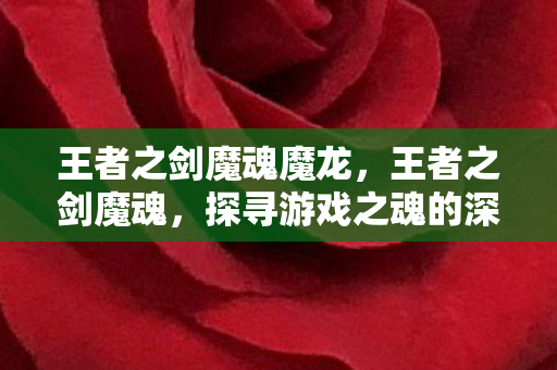 王者之剑魔魂魔龙,王者之剑魔魂,探寻游戏之魂的深度解析 王者之剑魔魂魔龙,王者之剑魔魂,探寻游戏之魂的深度解析