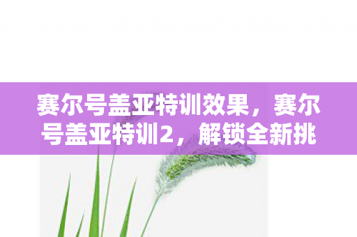 赛尔号盖亚特训效果,赛尔号盖亚特训2,解锁全新挑战,提升精灵实力 赛尔号盖亚特训效果,赛尔号盖亚特训2,解锁全新挑战,提升精灵实力