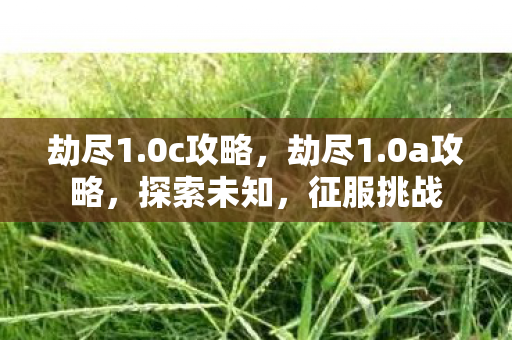劫尽1.0c攻略,劫尽1.0a攻略,探索未知,征服挑战 劫尽1.0c攻略,劫尽1.0a攻略,探索未知,征服挑战