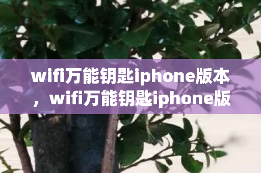 wifi万能钥匙iphone版本,wifi万能钥匙iphone版,便捷连接,安全无忧 wifi万能钥匙iphone版本,wifi万能钥匙iphone版,便捷连接,安全无忧