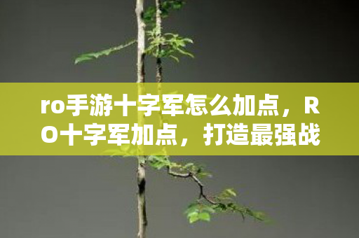 ro手游十字军怎么加点,RO十字军加点,打造最强战士的加点指南 ro手游十字军怎么加点,RO十字军加点,打造最强战士的加点指南