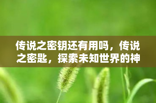 传说之密钥还有用吗,传说之密匙,探索未知世界的神秘钥匙 传说之密钥还有用吗,传说之密匙,探索未知世界的神秘钥匙