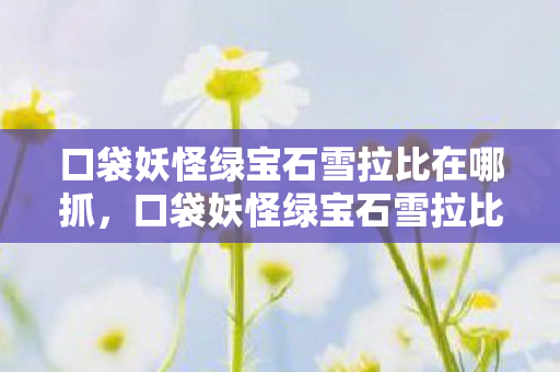 口袋妖怪绿宝石雪拉比在哪抓,口袋妖怪绿宝石雪拉比,穿越时空的神奇之旅 口袋妖怪绿宝石雪拉比在哪抓,口袋妖怪绿宝石雪拉比,穿越时空的神奇之旅