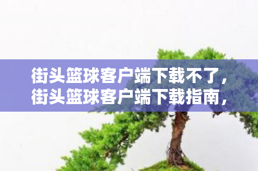 街头篮球客户端下载不了,街头篮球客户端下载指南,畅享游戏乐趣,安全无忧 街头篮球客户端下载不了,街头篮球客户端下载指南,畅享游戏乐趣,安全无忧