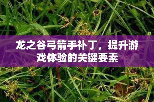 龙之谷弓箭手补丁,提升游戏体验的关键要素 龙之谷弓箭手补丁,提升游戏体验的关键要素