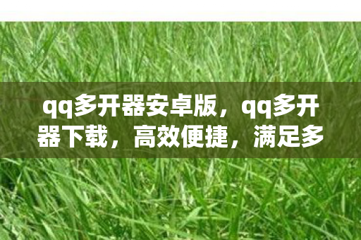 qq多开器安卓版,qq多开器下载,高效便捷,满足多账号需求 qq多开器安卓版,qq多开器下载,高效便捷,满足多账号需求