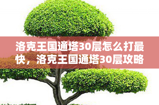 洛克王国通塔30层怎么打最快,洛克王国通塔30层攻略,策略与技巧 洛克王国通塔30层怎么打最快,洛克王国通塔30层攻略,策略与技巧