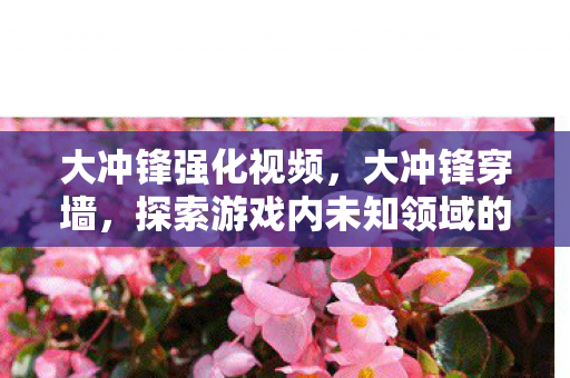 大冲锋强化视频，大冲锋穿墙，探索游戏内未知领域的奇妙之旅