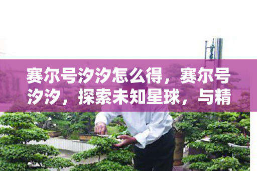 赛尔号汐汐怎么得，赛尔号汐汐，探索未知星球，与精灵共舞