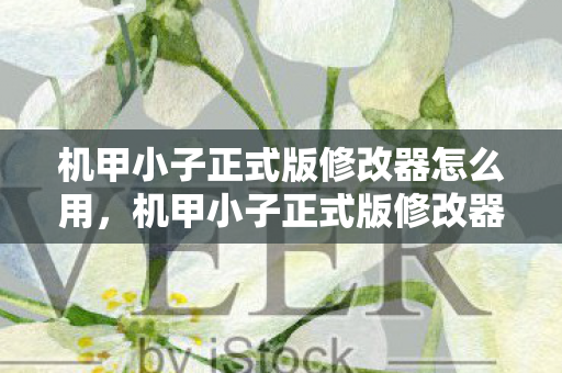 机甲小子正式版修改器怎么用，机甲小子正式版修改器，解锁无限可能的战斗体验
