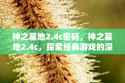 神之墓地2.4c密码,神之墓地2.4c,探索经典游戏的深度与魅力 神之墓地2.4c密码,神之墓地2.4c,探索经典游戏的深度与魅力