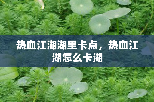 热血江湖湖里卡点,热血江湖怎么卡湖 热血江湖湖里卡点,热血江湖怎么卡湖