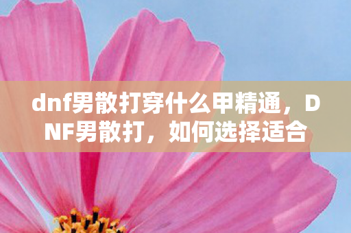 dnf男散打穿什么甲精通,DNF男散打,如何选择适合的装备甲 dnf男散打穿什么甲精通,DNF男散打,如何选择适合的装备甲