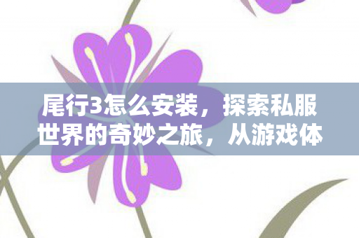 尾行3怎么安装,探索私服世界的奇妙之旅,从游戏体验到文化现象 尾行3怎么安装,探索私服世界的奇妙之旅,从游戏体验到文化现象