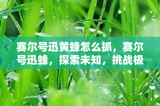 赛尔号迅黄蜂怎么抓,赛尔号迅蜂,探索未知,挑战极限 赛尔号迅黄蜂怎么抓,赛尔号迅蜂,探索未知,挑战极限