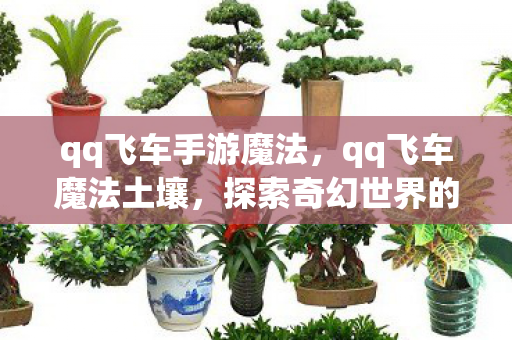 qq飞车手游魔法，qq飞车魔法土壤，探索奇幻世界的奇妙之旅