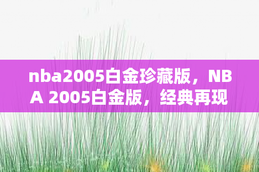 nba2005白金珍藏版,NBA 2005白金版,经典再现,情怀与技术的双重盛宴 nba2005白金珍藏版,NBA 2005白金版,经典再现,情怀与技术的双重盛宴